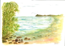 My hometown of heart Amami beach