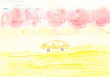 Row of cherry trees and field mustard