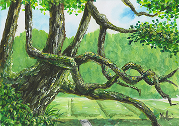 「風と光の通り道」