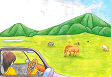 阿蘇草千里にて